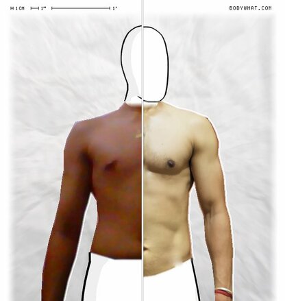 Torso Comparison