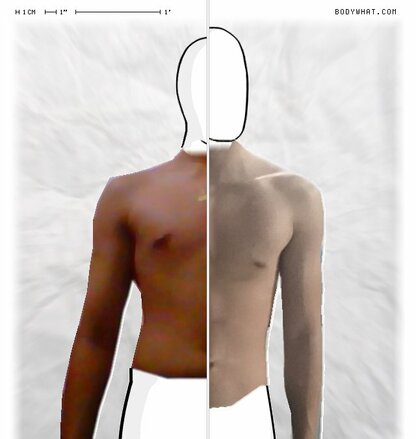 Torso Comparison