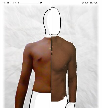 Torso Comparison