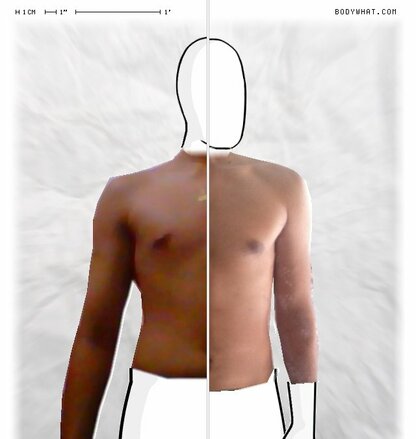 Torso Comparison