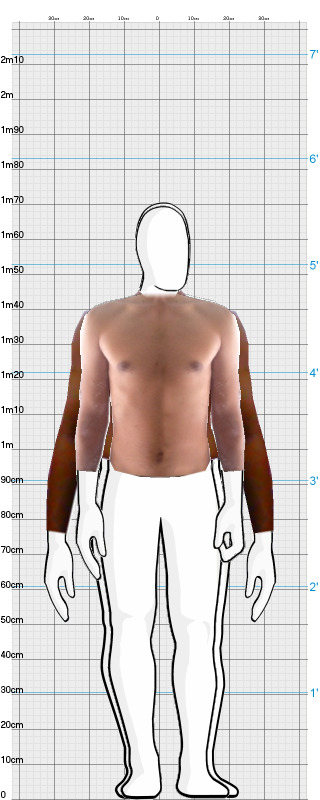 Full Size Comparison