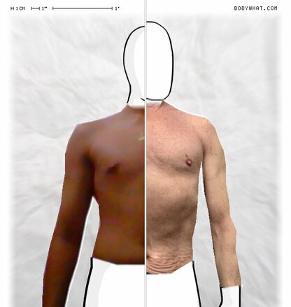 Torso Comparison