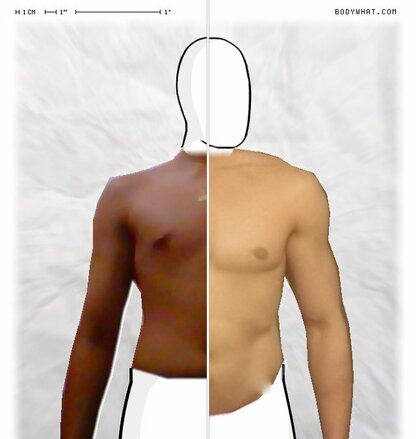 Torso Comparison