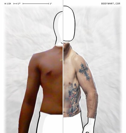 Torso Comparison