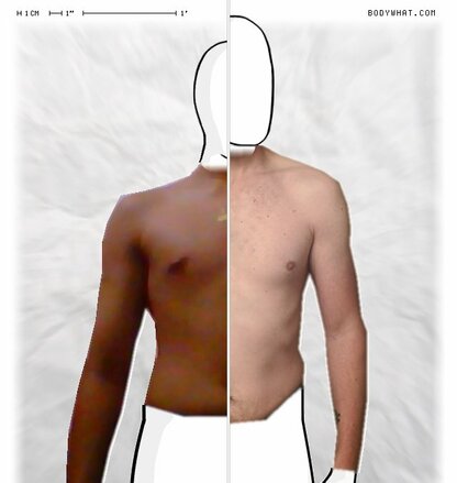 Torso Comparison