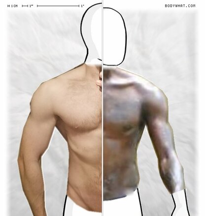 Torso Comparison