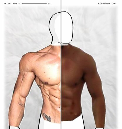 Torso Comparison