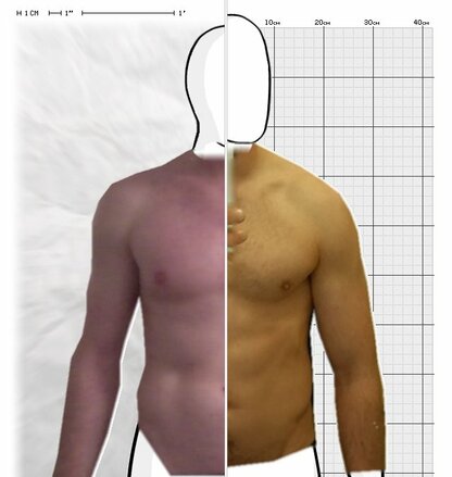 Torso Comparison