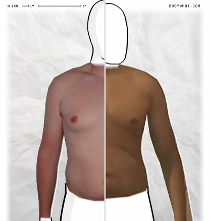 Torso Comparison