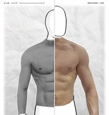 Torso Comparison