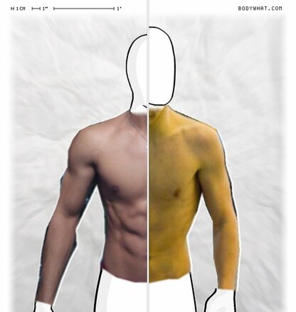 Torso Comparison