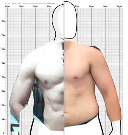 Torso Comparison