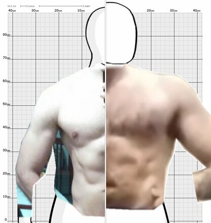 Torso Comparison