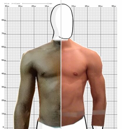 Torso Comparison