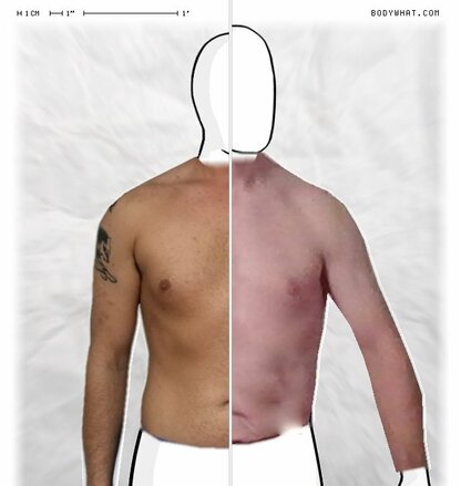 Torso Comparison