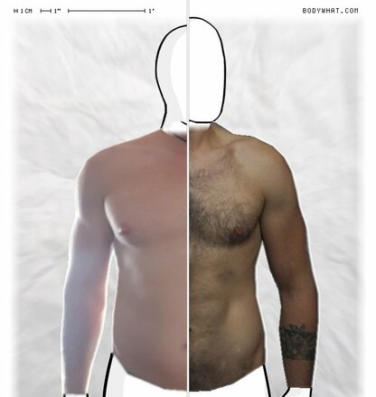 Torso Comparison