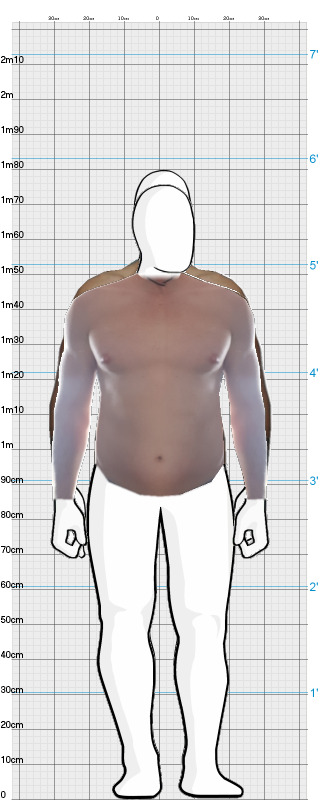 Full Size Comparison