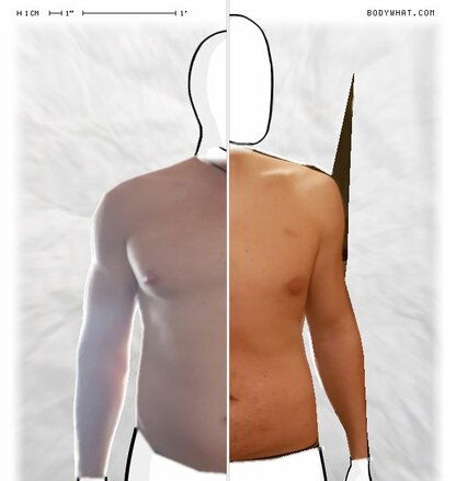 Torso Comparison