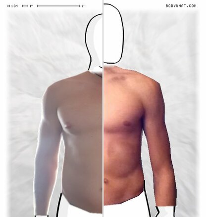 Torso Comparison