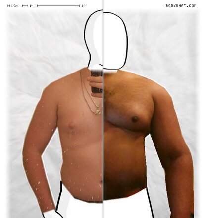 Torso Comparison