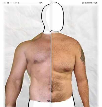 Torso Comparison