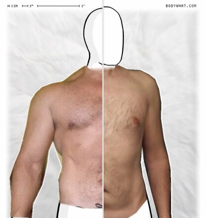 Torso Comparison