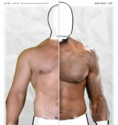 Torso Comparison