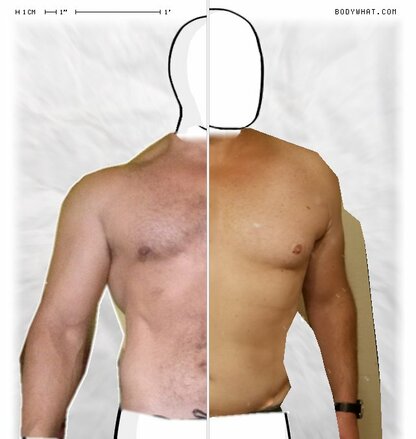 Torso Comparison