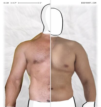 Torso Comparison