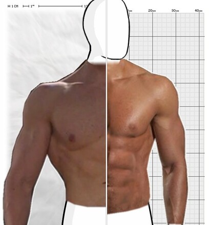 Torso Comparison