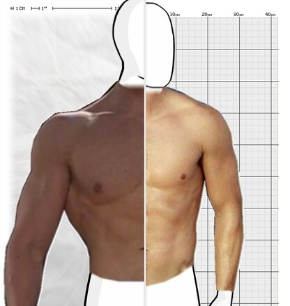 Torso Comparison