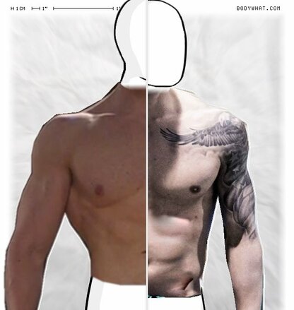 Torso Comparison