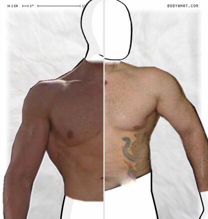 Torso Comparison
