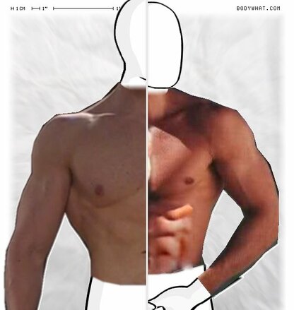 Torso Comparison