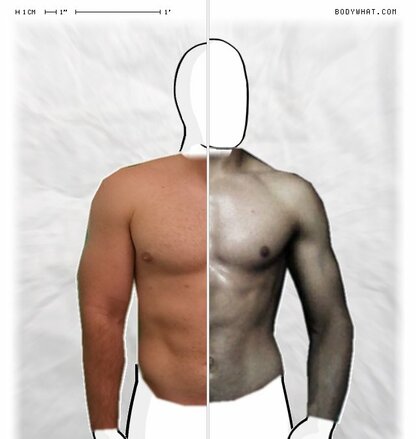 Torso Comparison