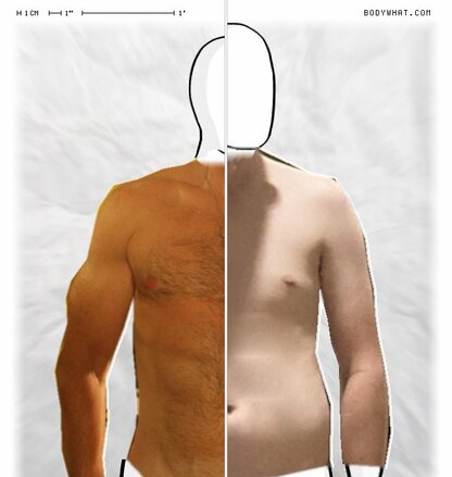 Torso Comparison