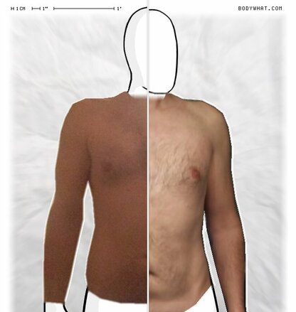 Torso Comparison