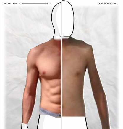 Torso Comparison