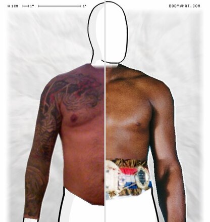 Torso Comparison