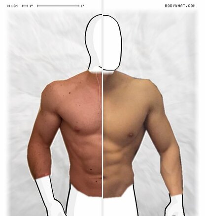 Torso Comparison