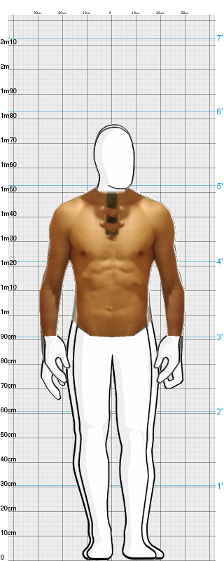 Full Size Comparison