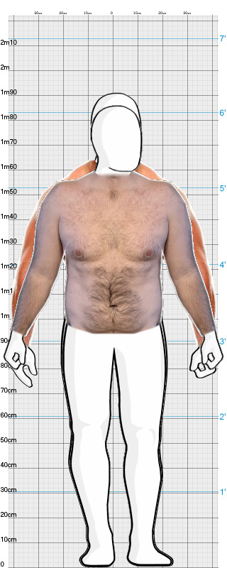 Full Size Comparison