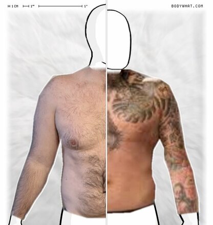 Torso Comparison