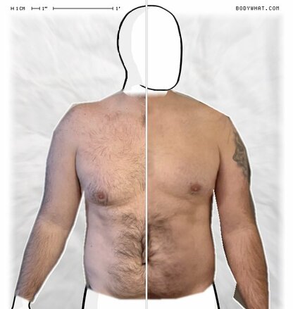 Torso Comparison