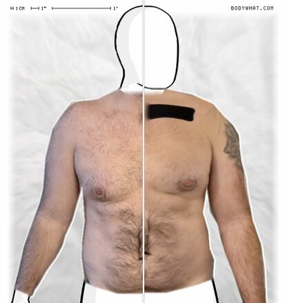 Torso Comparison