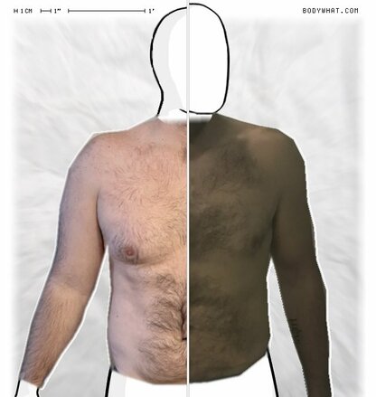 Torso Comparison