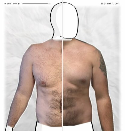 Torso Comparison