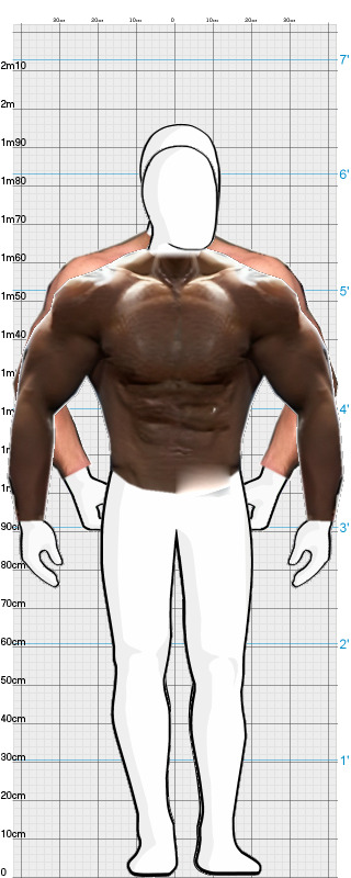 Full Size Comparison