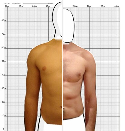 Torso Comparison