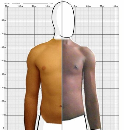 Torso Comparison